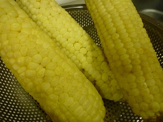 取れたばかりのものを茹でていただく幸せ（翌日だと、もう味が落ちます）